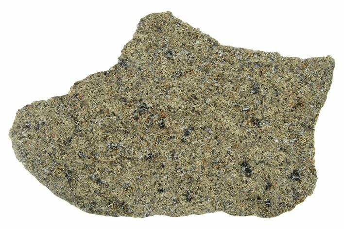 Martian Shergottite Meteorite ( g) Slice - NWA #337588